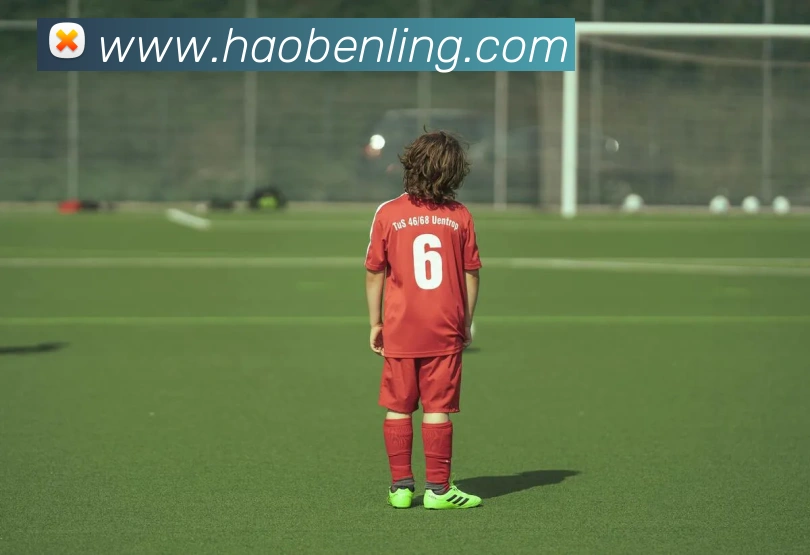 米兰体育官方网站发展历程