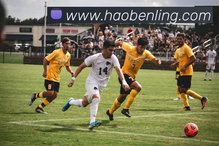 帕金斯称赞哈登为联盟顶级组织者能提升队友表现的关键人物